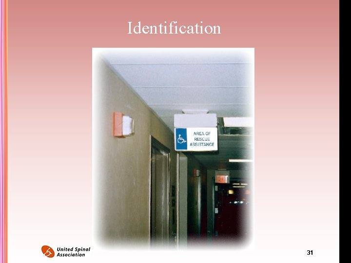 Identification 31 Identification 31