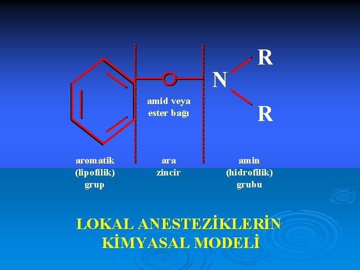 N amid veya ester bağı aromatik (lipofilik) grup ara zincir R R amin (hidrofilik)