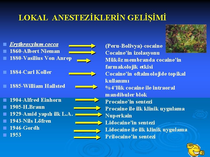 LOKAL ANESTEZİKLERİN GELİŞİMİ < Erythroxylum cocca < 1860 -Albert Nieman < 1880 -Vasilius Von