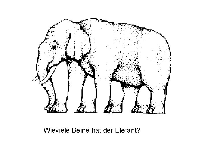 Wieviele Beine hat der Elefant? 