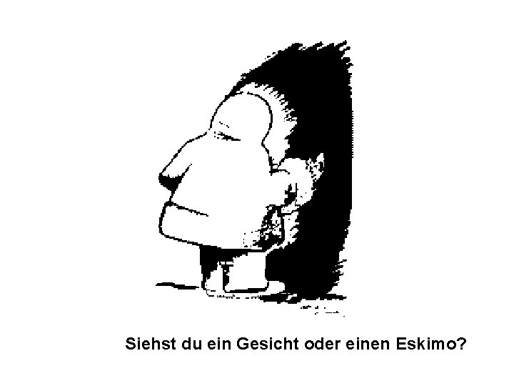 Siehst du ein Gesicht oder einen Eskimo? 