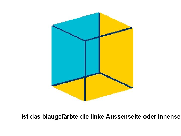 Ist das blaugefärbte die linke Aussenseite oder Innensei 