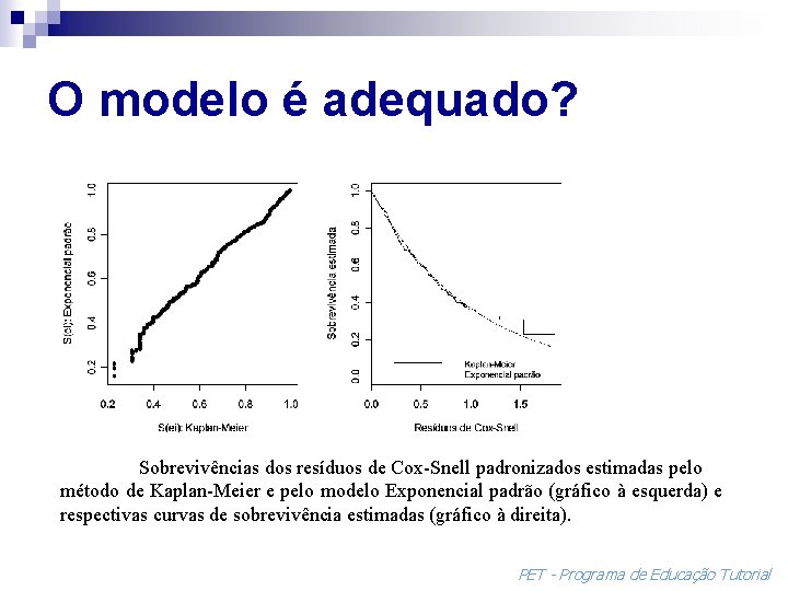 O modelo é adequado? Sobrevivências dos resíduos de Cox-Snell padronizados estimadas pelo método de