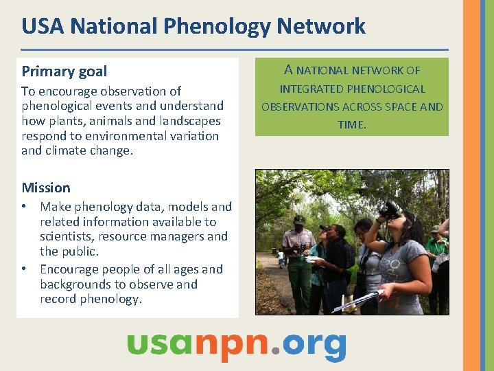 USA National Phenology Network Primary goal To encourage observation of phenological events and understand