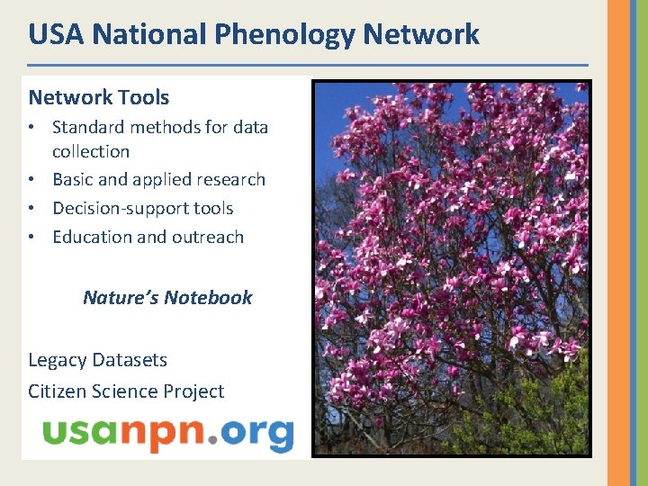 USA National Phenology Network Tools • Standard methods for data collection • Basic and