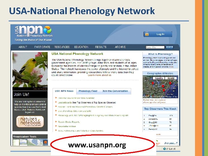 USA-National Phenology Network www. usanpn. org 