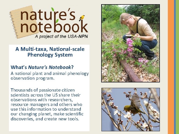 A Multi-taxa, National-scale Phenology System What’s Nature’s Notebook? A national plant and animal phenology