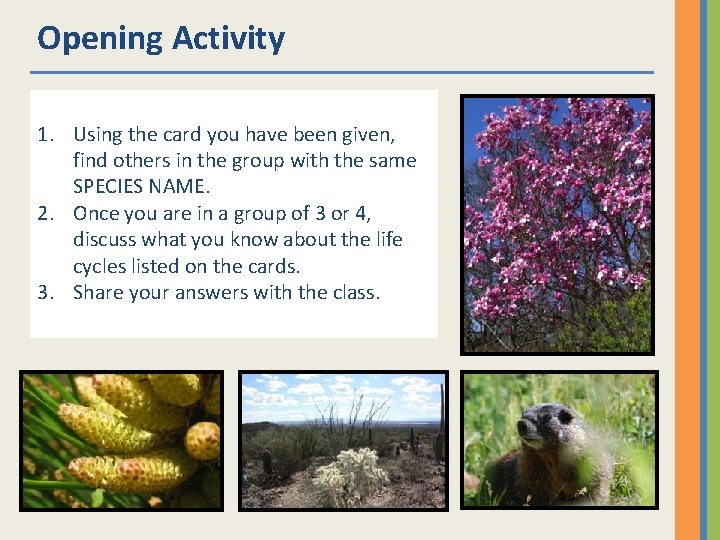 Opening Activity 1. Using the card you have been given, find others in the