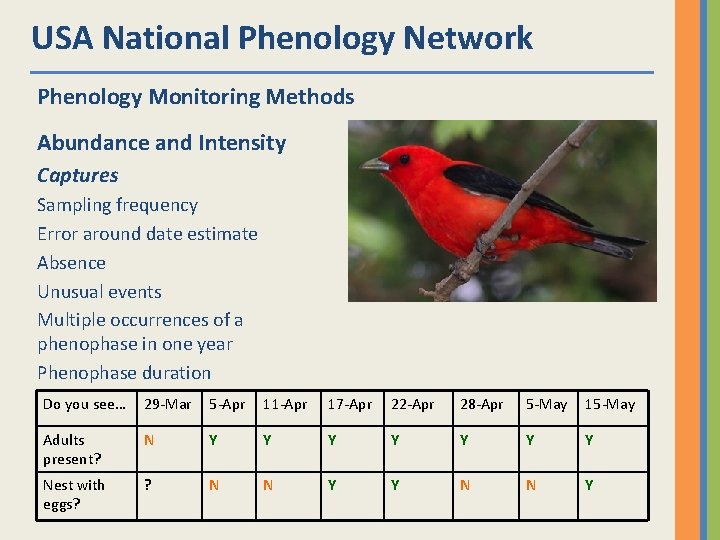 USA National Phenology Network Phenology Monitoring Methods Abundance and Intensity Captures Sampling frequency Error