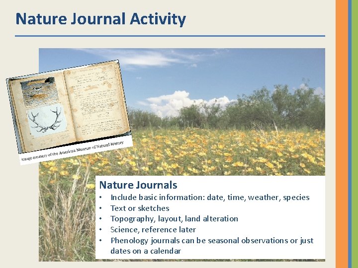 Nature Journal Activity Nature Journals • • • Include basic information: date, time, weather,