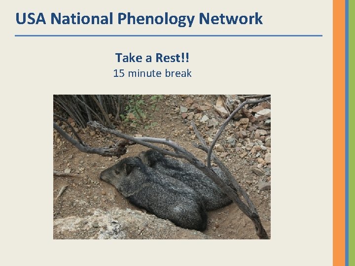 USA National Phenology Network Take a Rest!! 15 minute break 