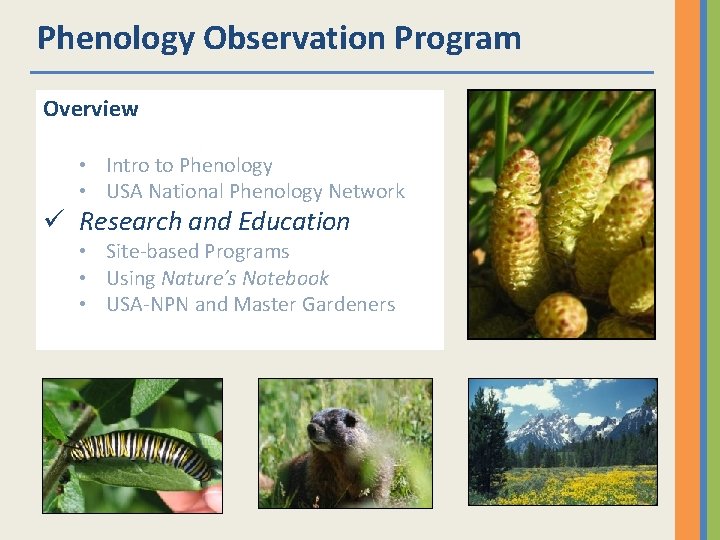 Phenology Observation Program Overview • Intro to Phenology • USA National Phenology Network ü