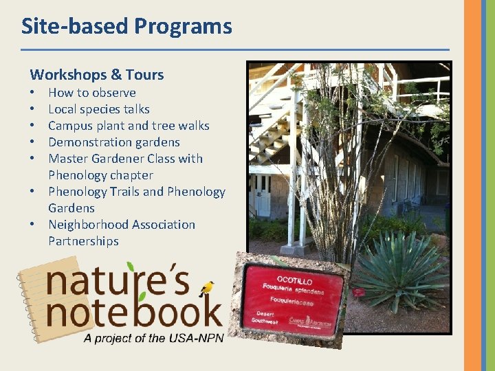 Site-based Programs Workshops & Tours How to observe Local species talks Campus plant and
