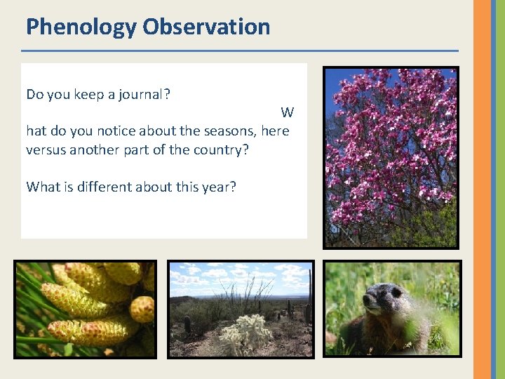 Phenology Observation Do you keep a journal? W hat do you notice about the