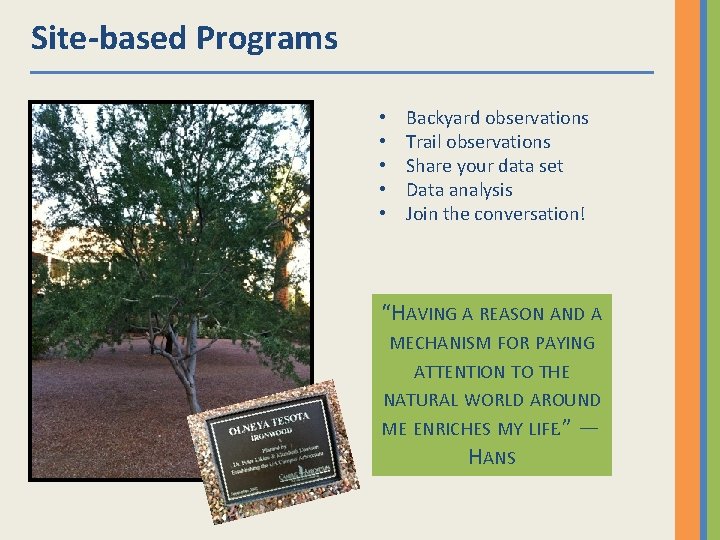 Site-based Programs • • • Backyard observations Trail observations Share your data set Data