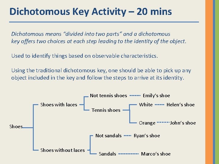 Dichotomous Key Activity – 20 mins Dichotomous means “divided into two parts” and a