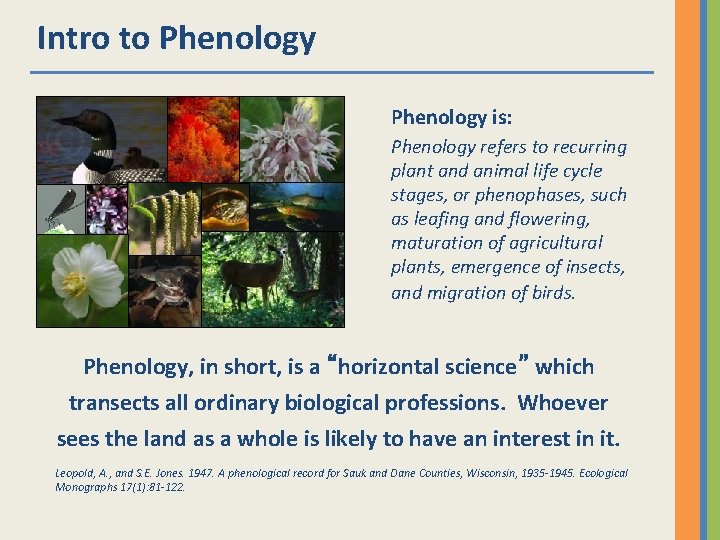 Intro to Phenology is: Phenology refers to recurring plant and animal life cycle stages,