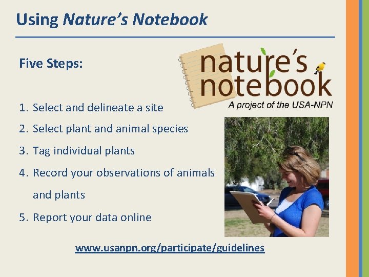 Using Nature’s Notebook Five Steps: 1. Select and delineate a site 2. Select plant