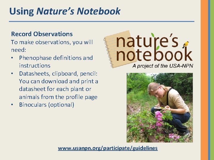 Using Nature’s Notebook Record Observations To make observations, you will need: • Phenophase definitions