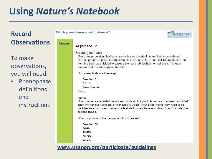 Using Nature’s Notebook Record Observations To make observations, you will need: • Phenophase definitions