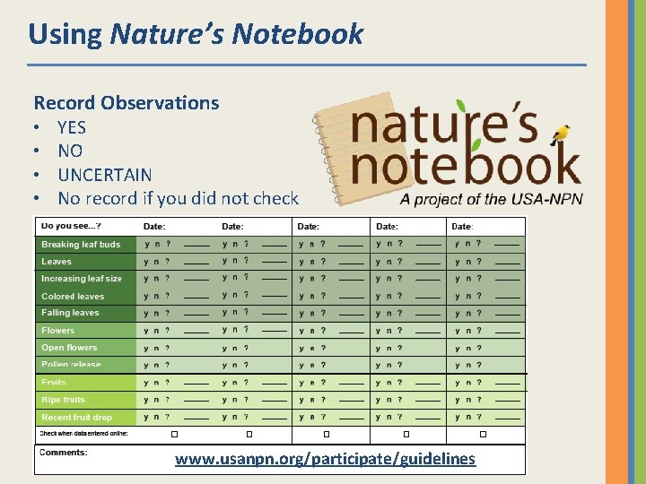 Using Nature’s Notebook Record Observations • • YES NO UNCERTAIN No record if you