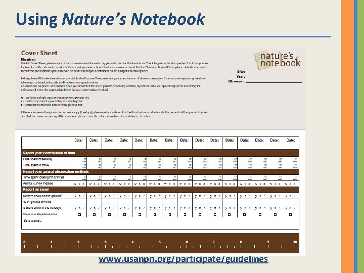 Using Nature’s Notebook www. usanpn. org/participate/guidelines 