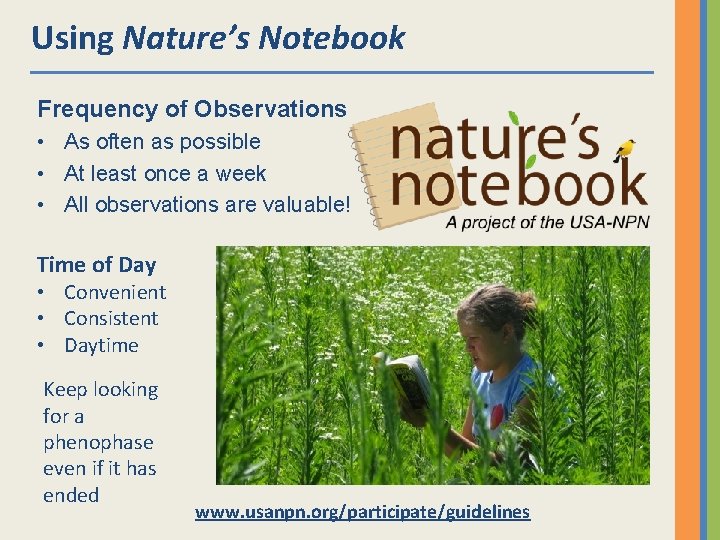 Using Nature’s Notebook Frequency of Observations • As often as possible • At least