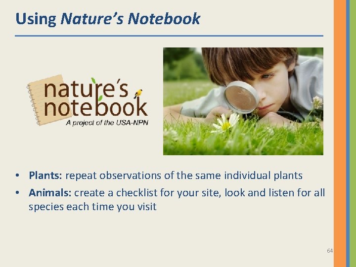 Using Nature’s Notebook • Plants: repeat observations of the same individual plants • Animals: