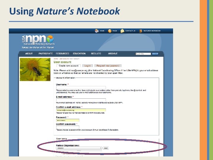 Using Nature’s Notebook 