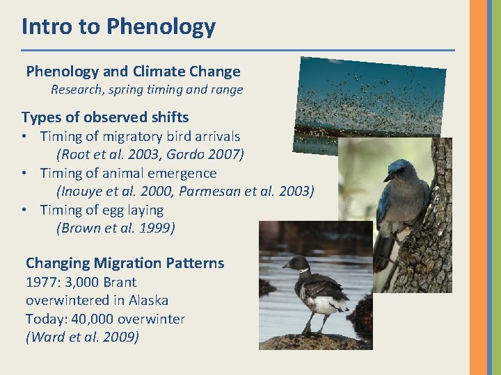 Intro to Phenology and Climate Change Research, spring timing and range Types of observed
