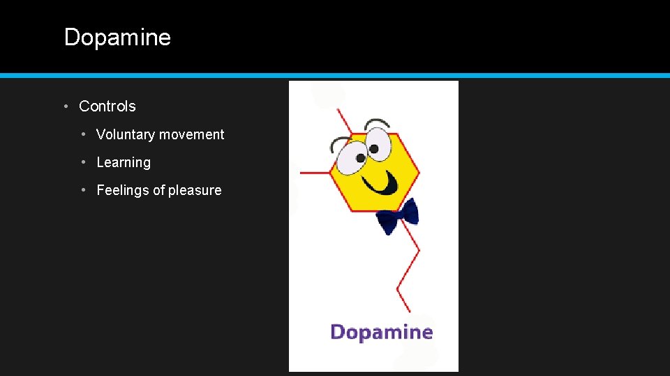 Dopamine • Controls • Voluntary movement • Learning • Feelings of pleasure 