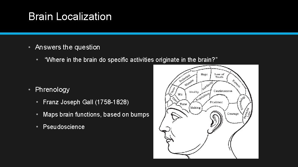 Brain Localization • Answers the question • “Where in the brain do specific activities
