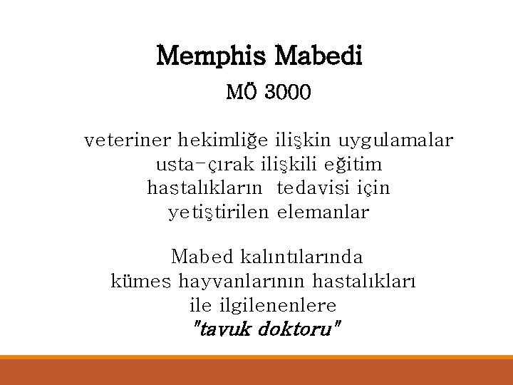 Memphis Mabedi MÖ 3000 veteriner hekimliğe ilişkin uygulamalar usta-çırak ilişkili eğitim hastalıkların tedavisi için