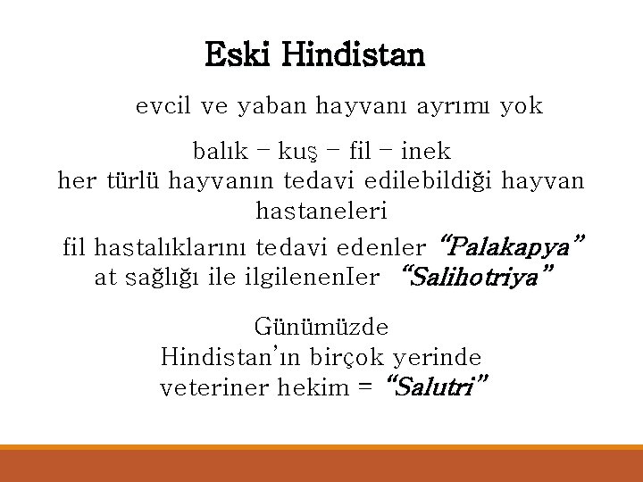 Eski Hindistan evcil ve yaban hayvanı ayrımı yok balık – kuş – fil –