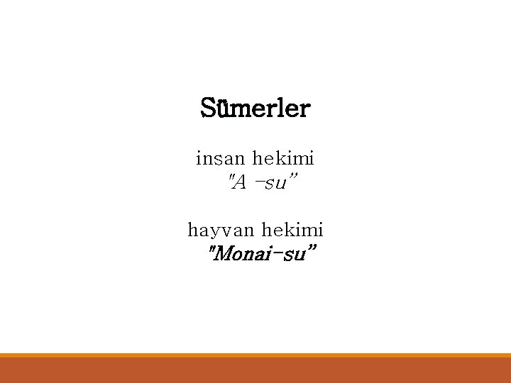 Sümerler insan hekimi "A –su” hayvan hekimi "Monai-su” 