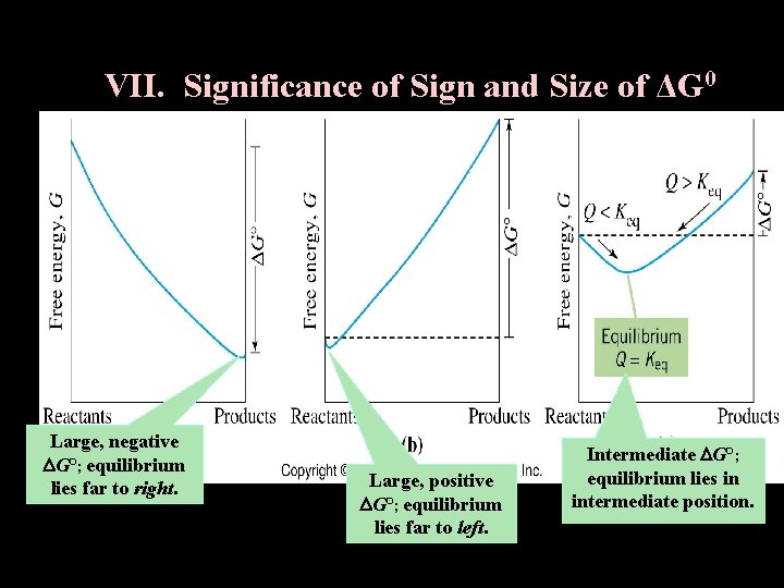 VII. Significance of Sign and Size of ΔG 0 Large, negative G°; equilibrium lies