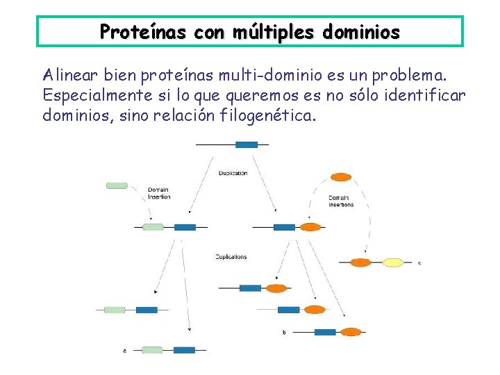 Proteínas con múltiples dominios Alinear bien proteínas multi-dominio es un problema. Especialmente si lo