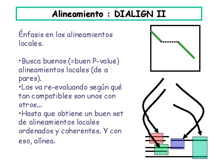 Alineamiento : DIALIGN II Énfasis en los alineamientos locales. • Busca buenos (=buen P-value)