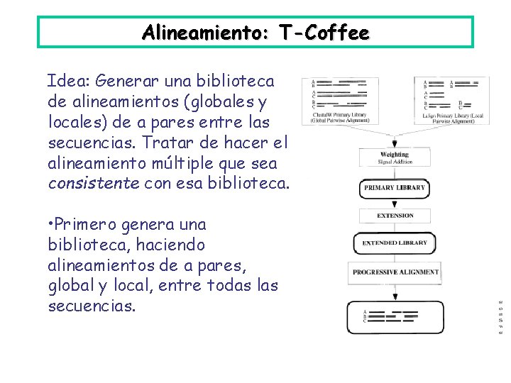 Alineamiento: T-Coffee Idea: Generar una biblioteca de alineamientos (globales y locales) de a pares