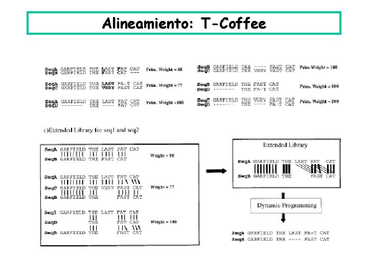 Alineamiento: T-Coffee 