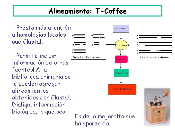 Alineamiento: T-Coffee + Presta más atención a homologías locales que Clustal. + Permite incluir