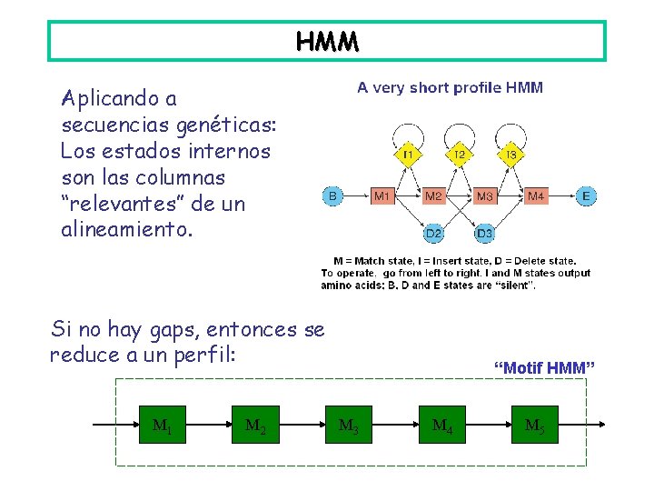 HMM Aplicando a secuencias genéticas: Los estados internos son las columnas “relevantes” de un