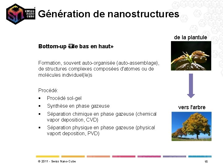 Génération de nanostructures de la plantule Bottom-up � «de bas en haut» Formation, souvent