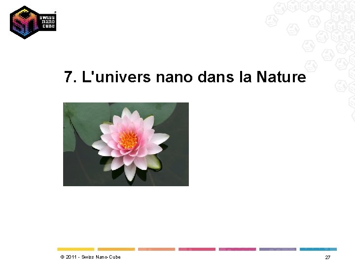 7. L'univers nano dans la Nature © 2011 - Swiss Nano-Cube 27 