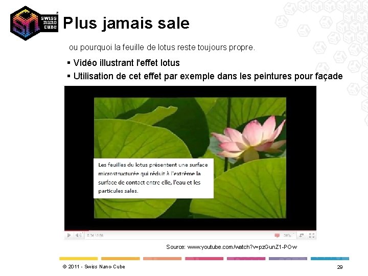 Plus jamais sale ou pourquoi la feuille de lotus reste toujours propre. § Vidéo