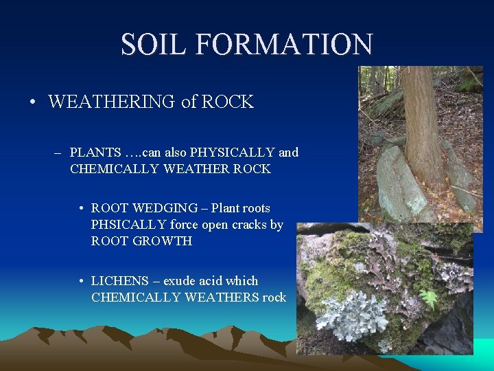 SOIL FORMATION • WEATHERING of ROCK – PLANTS …. can also PHYSICALLY and CHEMICALLY SOIL FORMATION • WEATHERING of ROCK – PLANTS …. can also PHYSICALLY and CHEMICALLY