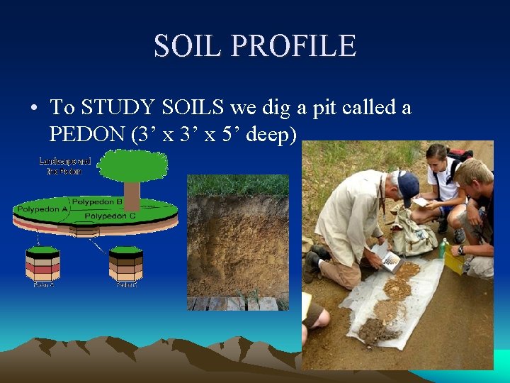 SOIL PROFILE • To STUDY SOILS we dig a pit called a PEDON (3’ SOIL PROFILE • To STUDY SOILS we dig a pit called a PEDON (3’