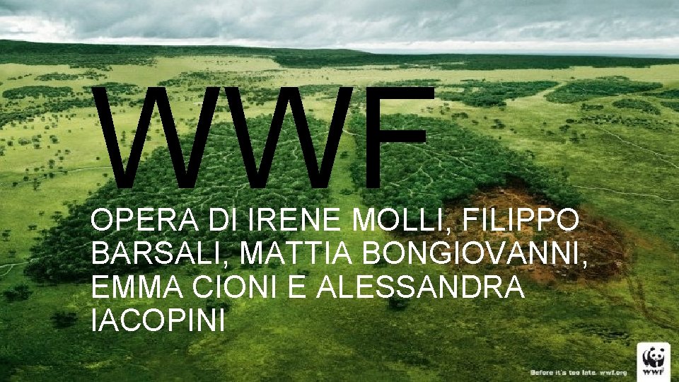 WWF OPERA DI IRENE MOLLI, FILIPPO BARSALI, MATTIA BONGIOVANNI, EMMA CIONI E ALESSANDRA IACOPINI