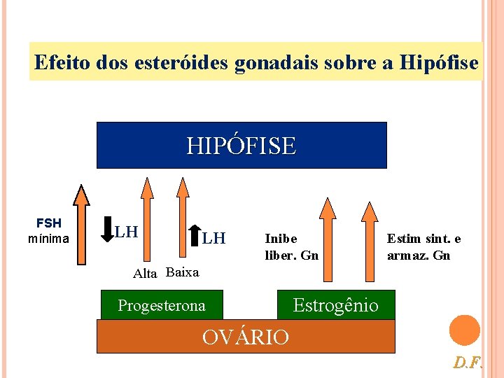 Efeito dos esteróides gonadais sobre a Hipófise HIPÓFISE FSH mínima LH LH Inibe liber.