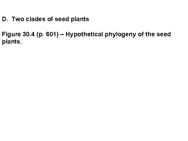 D. Two clades of seed plants Figure 30. 4 (p. 601) – Hypothetical phylogeny